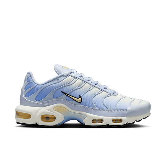 Nike Air Max Plus Daybreak (Women's)