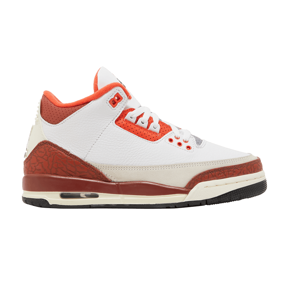 Jordan 3 Retro SE Dunk on Mars (GS)